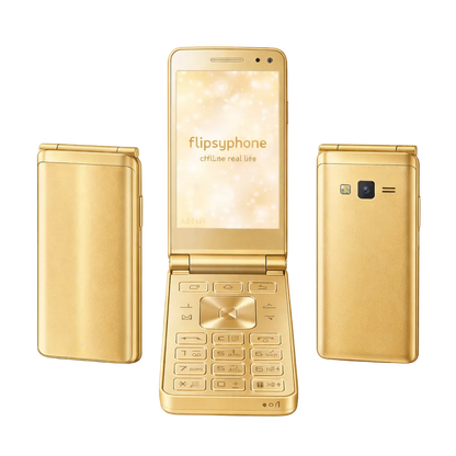 Flipsy Phone™